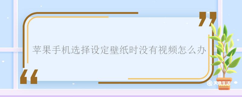 苹果手机选择设定壁纸时没有视频怎么办 苹果手机选择设定壁纸时没有视频怎么回事