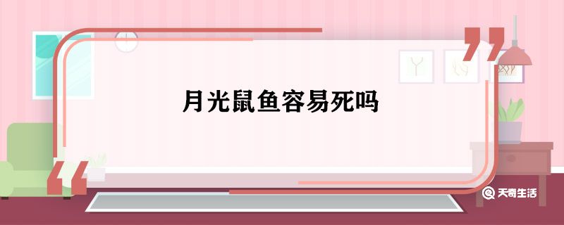 月光鼠鱼容易死吗 月光鼠鱼为什么容易死