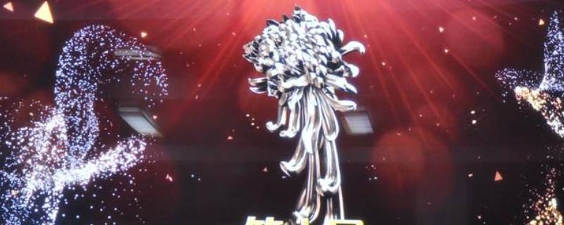 金菊花奖什么意思（金菊花奖是什么东西）