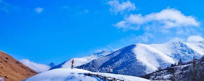 鹧鸪山海拔多少米 鹧鸪山海拔多少米高