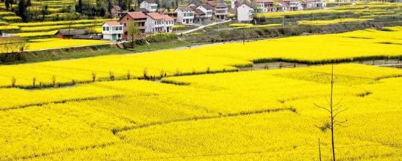 汉中平原面积有多大 汉中平原指的什么地方
