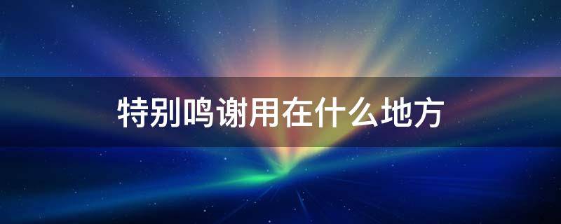 特别鸣谢用在什么地方 特别鸣谢用在什么地方