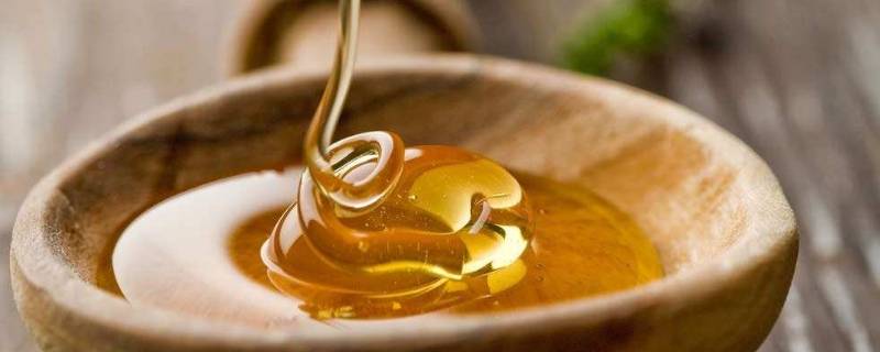 蜂蜜可以和梨一起煮吗（蜂蜜可以和梨一起煮吗蜂蜜可以和梨一起熬水喝吗）