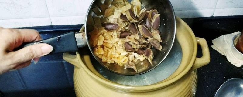 陈肾是什么东西（陈肾是什么东西图片大全）