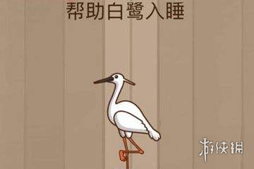 帮助白鹭睡觉 关于白鹭睡觉的资料