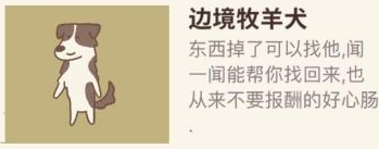 微信动物餐厅边境牧羊犬来访条件是什么