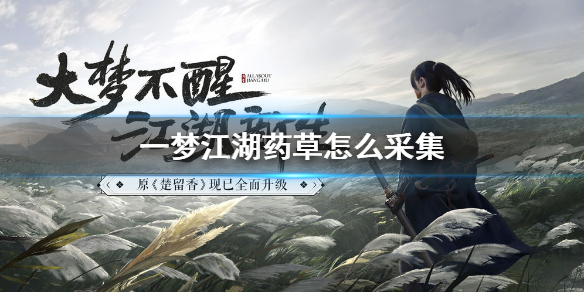 一梦江湖药草怎么采集 一梦江湖如何采集