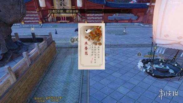 楚留香花签怎么获得