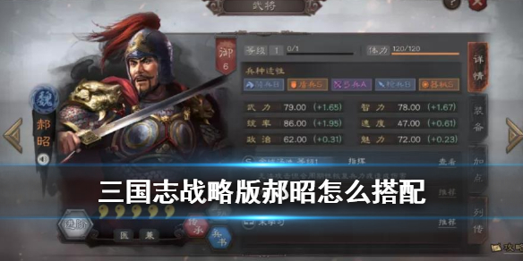 三国志战略版郝昭搭配推荐（三国志战略版郝昭怎么配）
