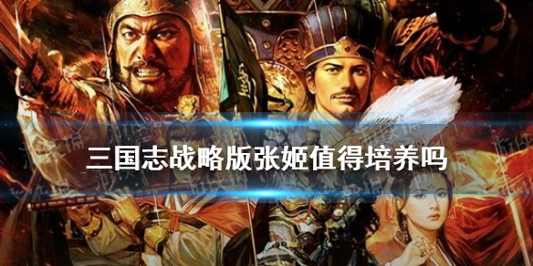 三国志战略版张姬值得培养吗（三国志战略版张姬学什么兵书）