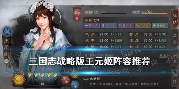 三国志战略版王元姬阵容推荐 三国志幻想大陆王元姬阵容推荐