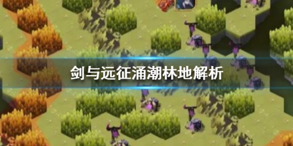 剑与远征涌潮林地解析（剑与远征丛林）