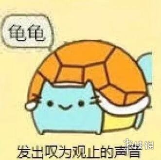 风云岛行动玄武怎么获得