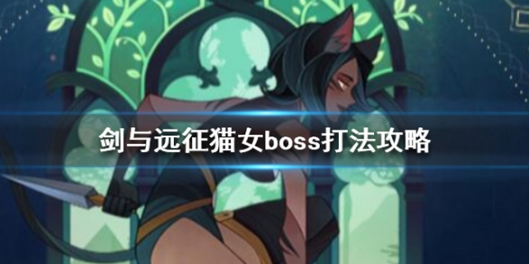 剑与远征猫女怎么打（剑与远征猫女可以当狗粮吗）