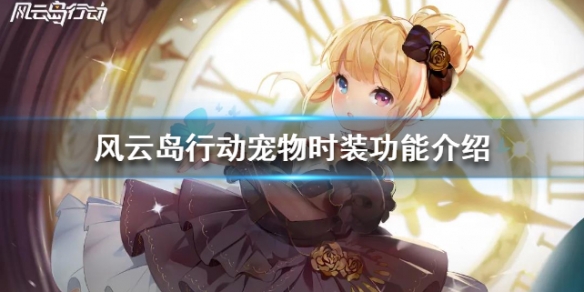 风云岛行动宠物时装功能介绍（风云岛行动物品介绍）