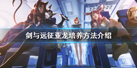 剑与远征亚龙怎么养 剑与远征 为什么我的亚龙没伤害