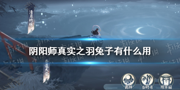 阴阳师真实之羽兔子怎么获得有什么用