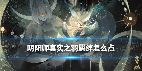 阴阳师真实之羽羁绊怎么点（阴阳师羽翼）