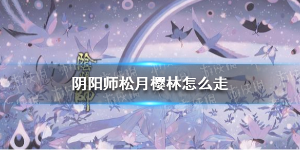 阴阳师松月樱林怎么走 阴阳师松月樱林怎么走35步