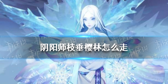 阴阳师枝垂樱林怎么走（阴阳师枝垂樱林怎么走25步）
