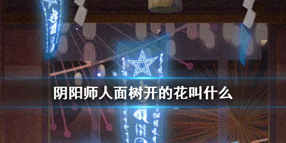 阴阳师人面树开的花叫什么 人面树开的花叫什么?