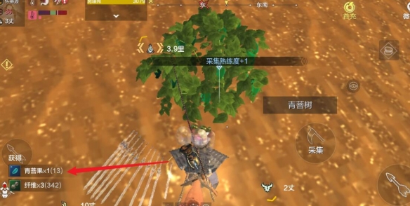 妄想山海青菩果在哪（妄想山海青提果在哪）