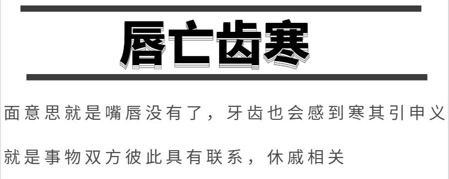 唇亡齿寒体现了什么哲理（唇寒齿亡的道理）