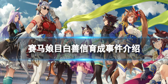 赛马娘目白善信事件怎么选（善信 赛马娘）