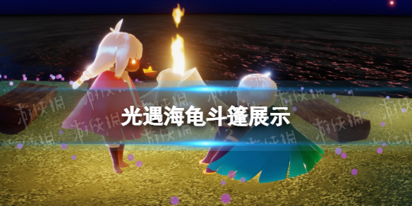 光遇海龟斗篷展示（光遇斗篷实物图大全）