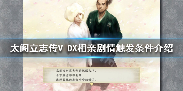 太阁立志传V 太阁立志传v攻略