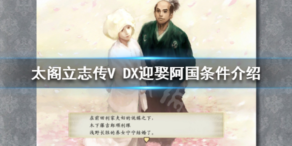 太阁立志传V 太阁立志传v dx破解版