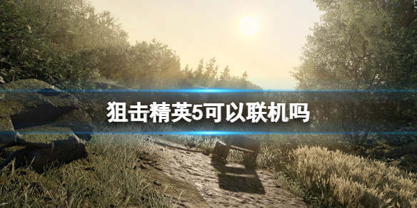 狙击精英5几人联机（狙击精英联机能干啥）