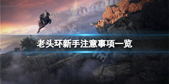 艾尔登法环新人有什么要注意的（艾尔登法环为什么这么火）