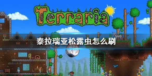 泰拉瑞亚松露虫怎么刷（泰拉瑞亚松露虫怎么刷手机版）