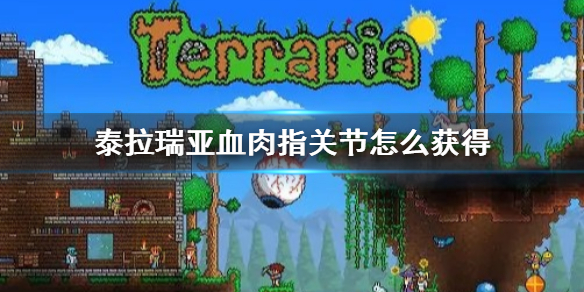 泰拉瑞亚血肉指关节怎么获得 泰拉瑞亚血肉指关节如何获得