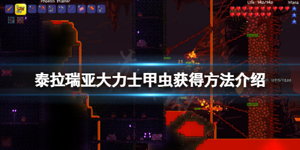 泰拉瑞亚大力士甲虫怎么获得（泰拉瑞亚大力士甲虫怎么获得视频）