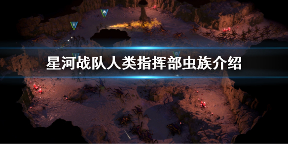 星河战队人类指挥部虫族介绍 星河战队虫族首脑的秘密