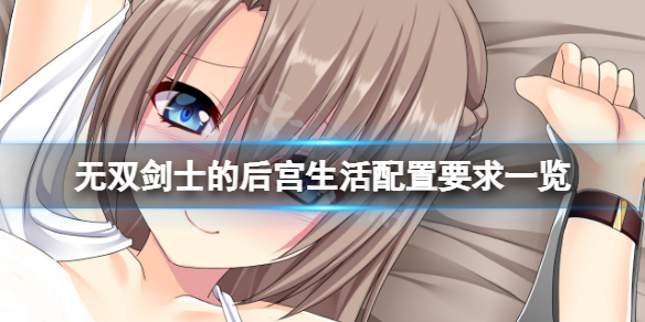 无双剑士的后宫生活配置要求高吗