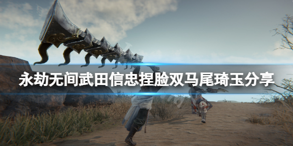 永劫无间武田信忠捏脸双马尾琦玉 永劫无间天海琦玉捏脸数据
