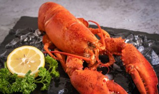 怎样清洗龙虾才干净