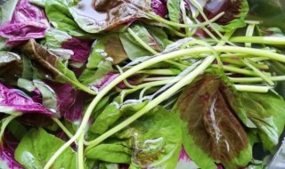 苋菜怎样清洗才干净（苋菜怎样清洗才干净视频）