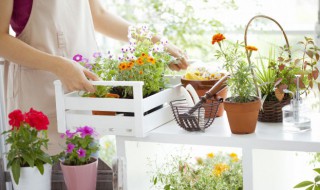 新买的盆怎样清洗干净 新买的盆怎样清洗干净卫生