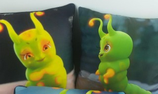 怎么养糖宝 糖宝的制作方法