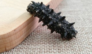 海参能放冰箱冷冻吗（海参能放冰箱冷冻吗多久）