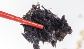 紫菜能放冰箱吗（紫菜能放冰箱吗多久）