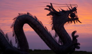 权力的游戏龙怎么繁殖（权力的游戏龙妈怎么诞生的）