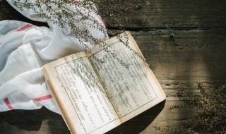 天天炫舞网名（天天炫舞名字）