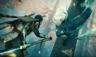 镰鼬怎么养 镰鼬值得养吗