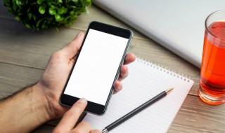 宝可梦剑盾大嘴鸥在哪 宝可梦剑盾鸭嘴兽在哪