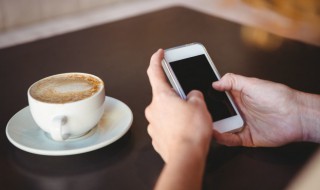 宝可梦闪是什么意思（闪光宝可梦是什么意思）